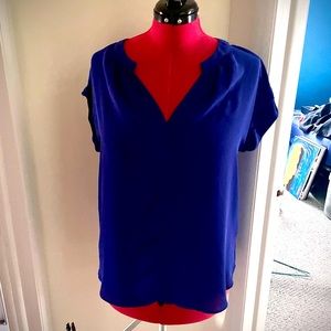 Philosophy by Republic Clothing - Blue Blouse